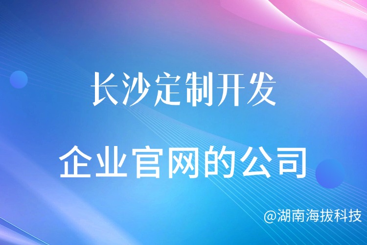 长沙定制开发企业官网的公司