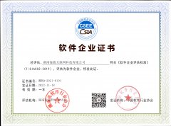 软件企业